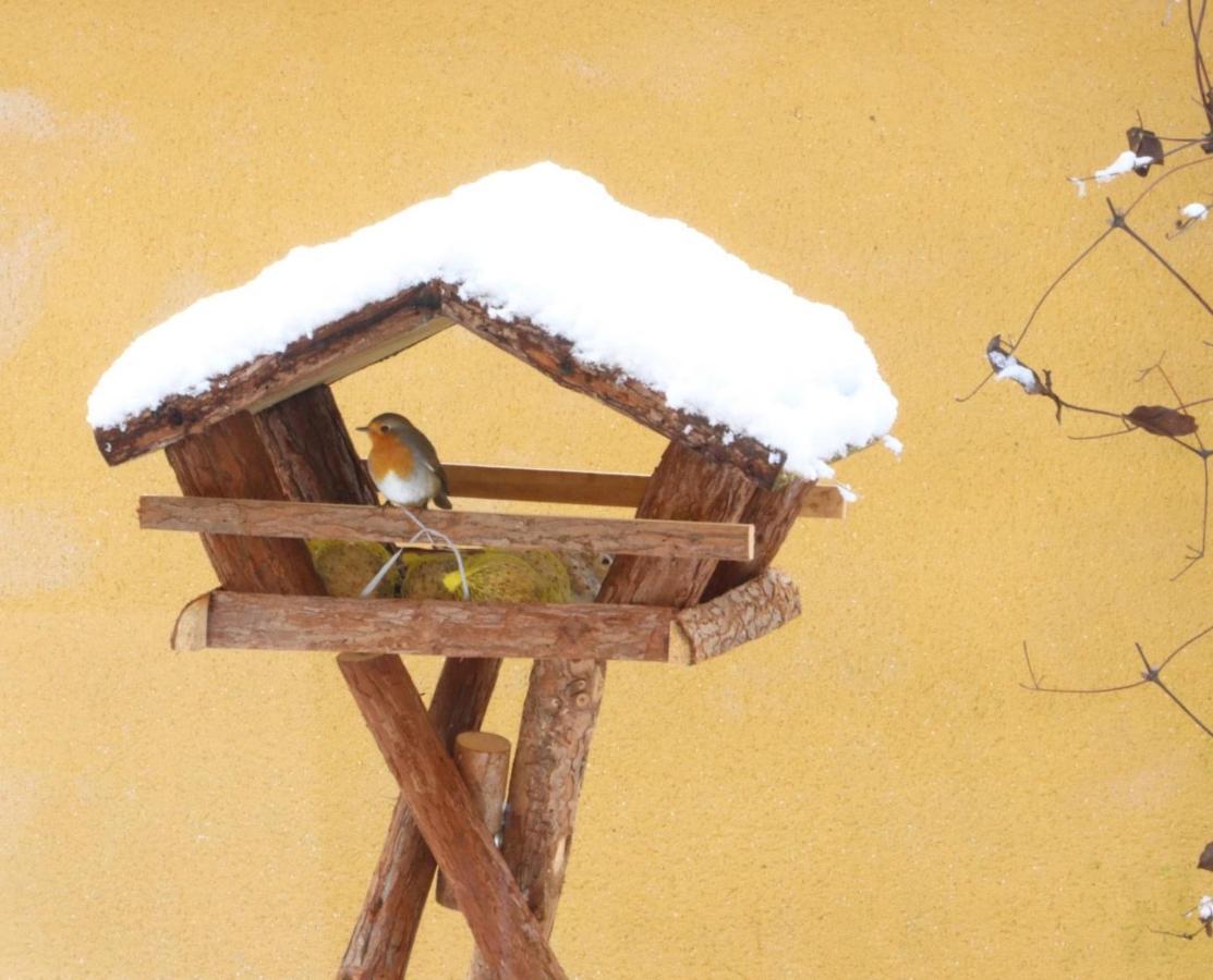 Le Chant Des Oiseaux - Au Pied De La Voie Cyclable Crevechamps Kültér fotó